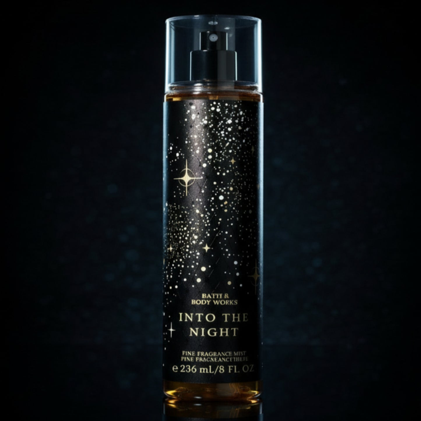 INTO THE NIGHT ( BATH & BODY WORKS )