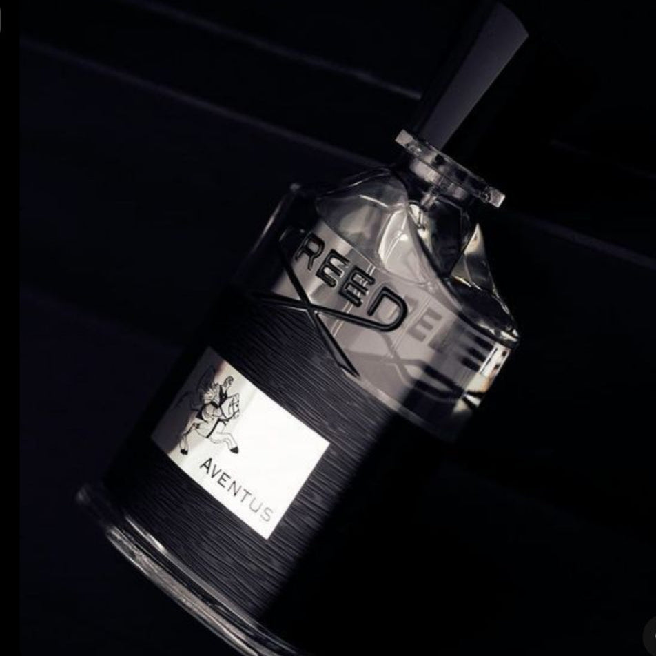 CREED AVENTUS