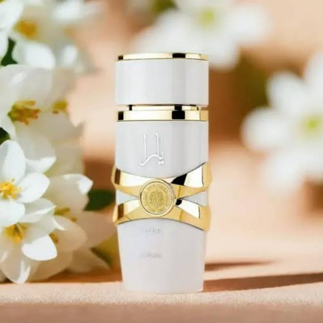 YARA WHITE   ( LATTAFA )