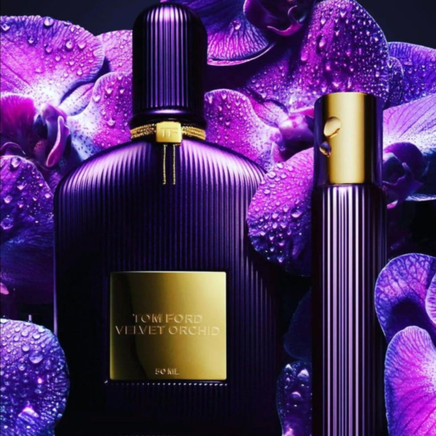 VELVET ORCHED TOMFORED