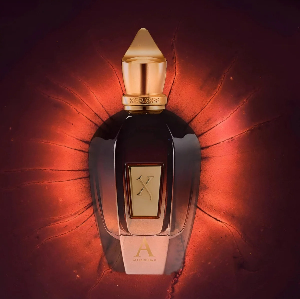 XERJOFF   ALEXANDRIA ||  2