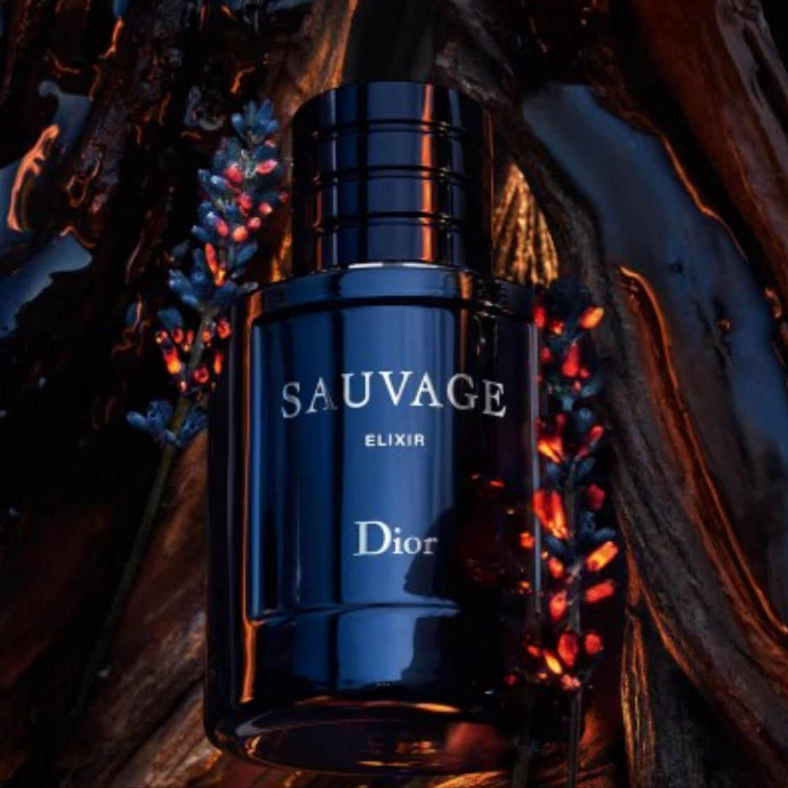 SAUVAGE ELIXIR     DIOR