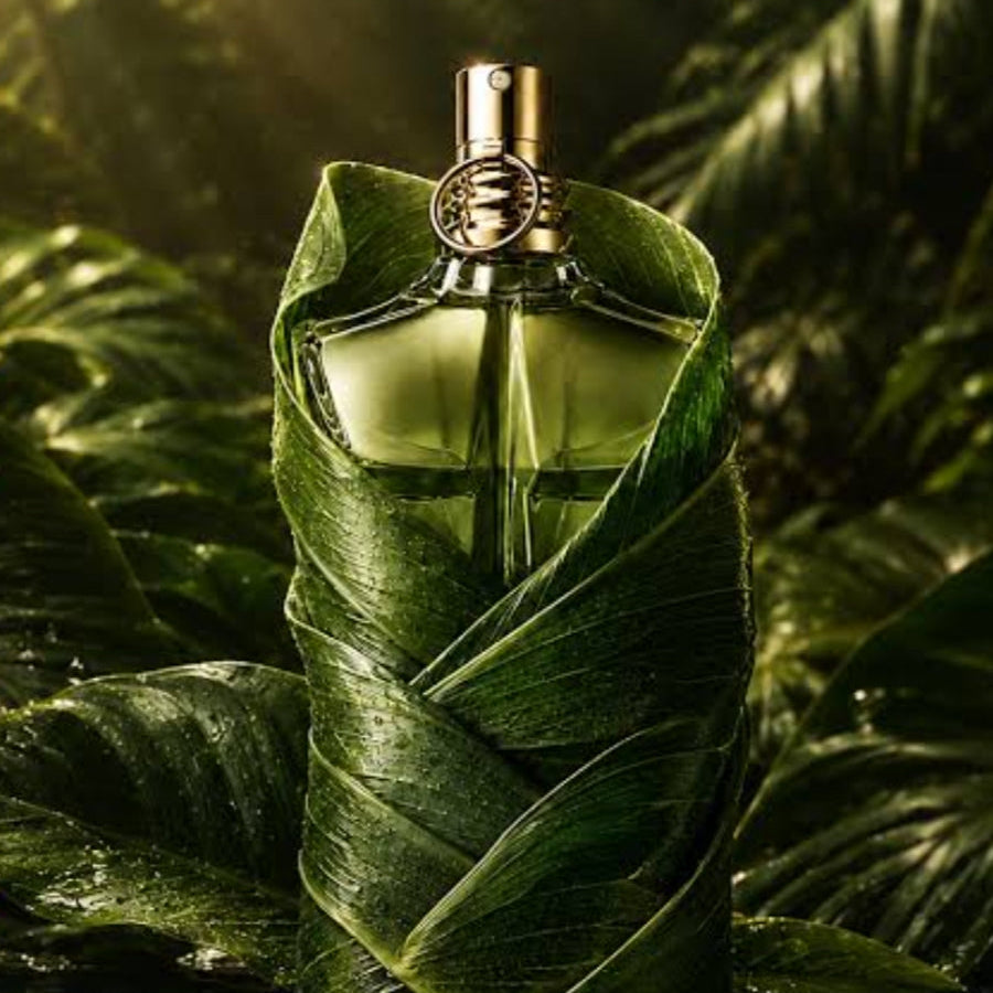 LE  BEAU PARADISE GARDEN       JEAN PAUL GAULTIER